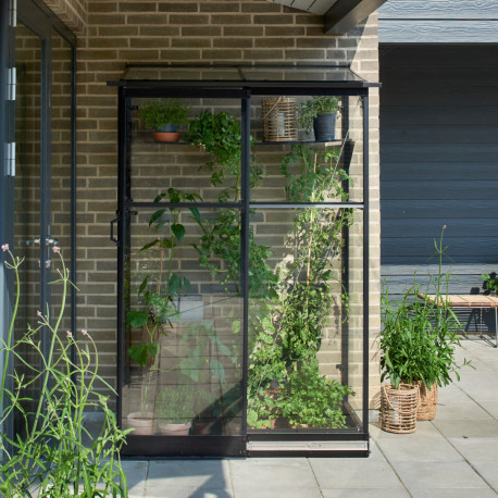 Anlehngewächshaus 0,8m² schwarz aus Sicherheitsglas Qube 24 - Halls