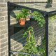 Anlehngewächshaus schwarz 1,2m² Qube 26 - Halls Sicherheitsglas