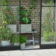 Anlehngewächshaus schwarz 1,2m² Qube 26 - Halls Sicherheitsglas
