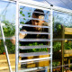 Gewächshaus Balance 18,4m² aus Aluminium und Hybridpolycarbonatplatten, silbergrau – Canopia by Palram