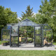 Gewächshaus Orangerie 21,5m² aus schwarzem Aluminium und Sicherheitsglas 3mm - Juliana