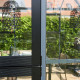 Gewächshaus Grand Oase 25,6m² aus schwarzem Aluminium und Sicherheitsglas 3mm - Juliana