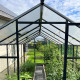 Gewächshaus Sanus UP! L10 Hybrid 9,8m² anthrazit aus Sicherheitsglas und Polycarbonat - Gampre