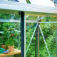 Gewächshaus Compact 5m² Aluminium mit Sicherheitsglas - Juliana