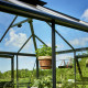 Gewächshaus anthrazit Grand Oase 13m² Aluminium und 3mm Sicherheitsglas - Juliana