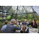 Gewächshaus anthrazit Grand Oase 13m² Aluminium und 3mm Sicherheitsglas - Juliana