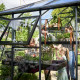 Gewächshaus anthrazit Grand Oase 13m² Aluminium und 3mm Sicherheitsglas - Juliana