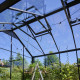 Gewächshaus 10,9m² Jubii 60 aus schwarzem Aluminium und 3mm Sicherheitsglas - Juliana
