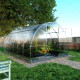 Gewächshaus Tube 12m² aus verzinktem Stahl und 6mm Polycarbonatplatten - Klasika