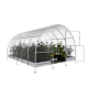Gewächshaus 12m² Easy aus verzinktem Stahl und 4mm Polycarbonatplatten – Klasika