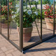 Gewächshaus Klassik 310x310cm aus Aluminium und Sonnenschutzglas – BloomCabin