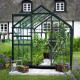Gewächshaus 5m² aus grünem Aluminium und Sicherheitsglas Popular 86 - Halls