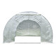 Tunnelgewächshaus 3x8m BIANCA mit verstärkter PE-Folie - Green Protect