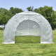 Tunnelgewächshaus 3x8m BIANCA mit verstärkter PE-Folie - Green Protect