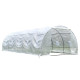 Tunnelgewächshaus 3x8m BIANCA mit verstärkter PE-Folie - Green Protect