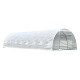 Tunnelgewächshaus 4x10m BIANCA mit verstärkter PE-Folie - Green Protect