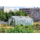 Gewächshaus S208H 22,53m² aus Aluminium und Sicherheitsglas ALULINE – ACD