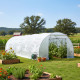 Tunnelgewächshaus 3x8m BIANCA mit verstärkter PE-Folie - Green Protect