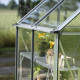 Gewächshaus 2,5m² aus Aluminium und Sicherheitsglas Icon 6 - Halls