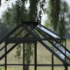 Gewächshaus 2,5m² Schwarz aus Aluminium und Blankglas Icon 6 - Halls