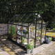 Gewächshaus 4,9m² Schwarz aus Aluminium und Blankglas Icon 6 - Hall