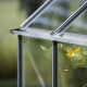 Gewächshaus 8,1m² aus Aluminium und Sicherheitsglas Icon 8 - Halls