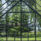 Gewächshaus 9,7m² Schwarz aus Aluminium und Blankglas Icon 8 – Halls
