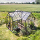 Gewächshaus 8,6m² Schwarz aus Aluminium und Sicherheitsglas Icon Gardenhouse 6 - Halls