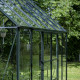 Gewächshaus 9,7m² Grün aus Aluminium und Sicherheitsglas Icon Planthouse 8 - Halls