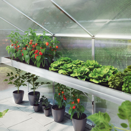 Pflanzwanne für Gewächshaus 6,81m² Serie Callas IV von KGT