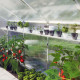 Hängebord für Gewächshaus 5,06m² Serie Iris II von KGT