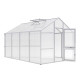 Gewächshaus 12,74m² aus Aluminium und 16mm Polycarbonatplatten Dahlie IV - pressblank - KGT