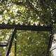 Dachfirstverzierung in Schwarz für das Gewächshaus Icon 6 - 2,5m² – Halls