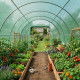 Tunnelgewächshaus 4x8m Folie 200gr/m², Höhe 2,3m Green Protect