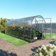 Gewächshaus Slim 200x600cm aus verzinktem Stahl und 4mm Polycarbonatplatten – Klasika