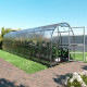 Gewächshaus Slim 200x800cm aus verzinktem Stahl und 4mm Polycarbonatplatten – Klasika
