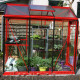 Gewächshaus Piccolo 3,56m² aus lackiertem Aluminium und 4mm Sicherheitsglas – ACD