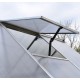 Gewächshaus Essence 8,9m² aus Aluminium und Polycarbonat, silbergrau – Canopia von Palram