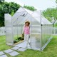 Gewächshaus Essence 8,9m² aus Aluminium und Polycarbonat, silbergrau – Canopia von Palram