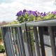 City Gewächshaus aus Sicherheitsglas Balcony mit Regalen - Juliana