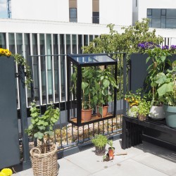 City Gewächshaus aus Sicherheitsglas Balcony mit Regalen - Juliana