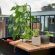 City Gewächshaus aus Sicherheitsglas Vertical mit Rollen - Juliana