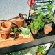 City Gewächshaus aus Sicherheitsglas Vertical mit Rollen - Juliana