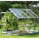 Gewächshaus Venus 5,0m² aus Aluminium und 3mm Sicherheitsglas - Vitavia